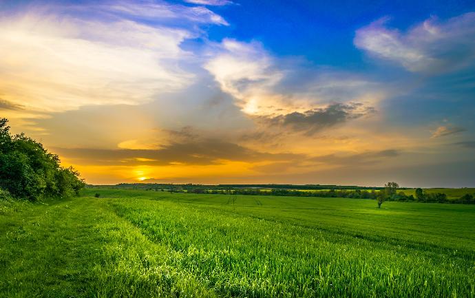 green grass field under cloudy sky during daytime